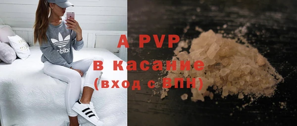 гашик Зеленокумск