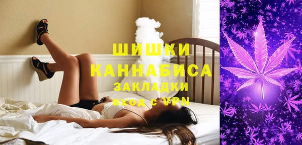 ГАЛЛЮЦИНОГЕННЫЕ ГРИБЫ Зеленодольск
