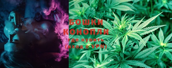 гашик Зеленокумск