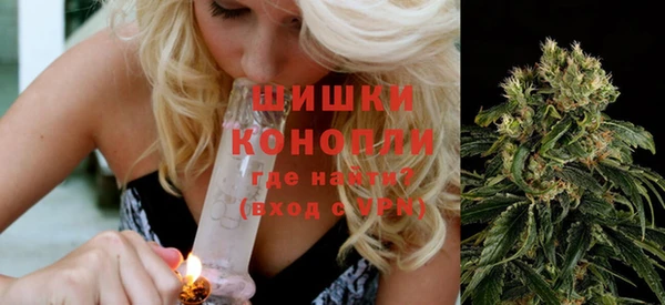 гашик Зеленокумск