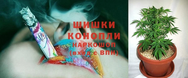 ГАЛЛЮЦИНОГЕННЫЕ ГРИБЫ Зеленодольск
