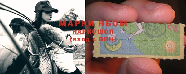 гашик Зеленокумск