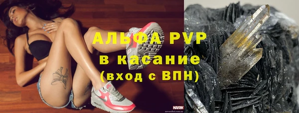 гашик Зеленокумск