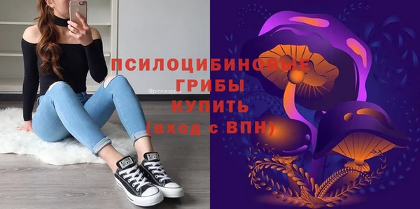 гашик Зеленокумск