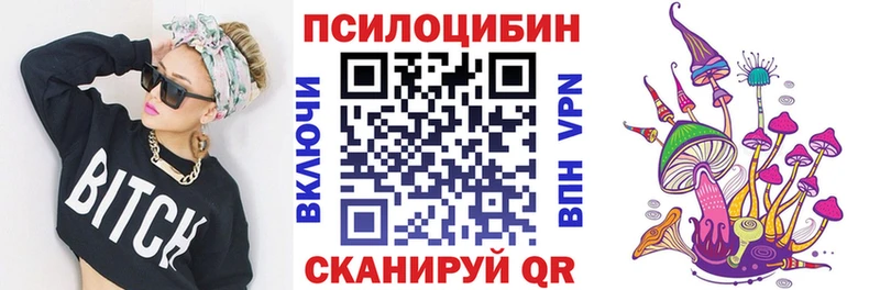 Купить где  Новоалександровск  Псилоцибиновые грибы Magic Shrooms 