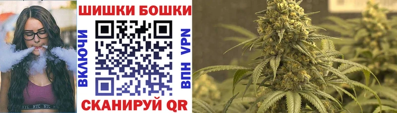 Купить Новоалександровск Шишки марихуана индика